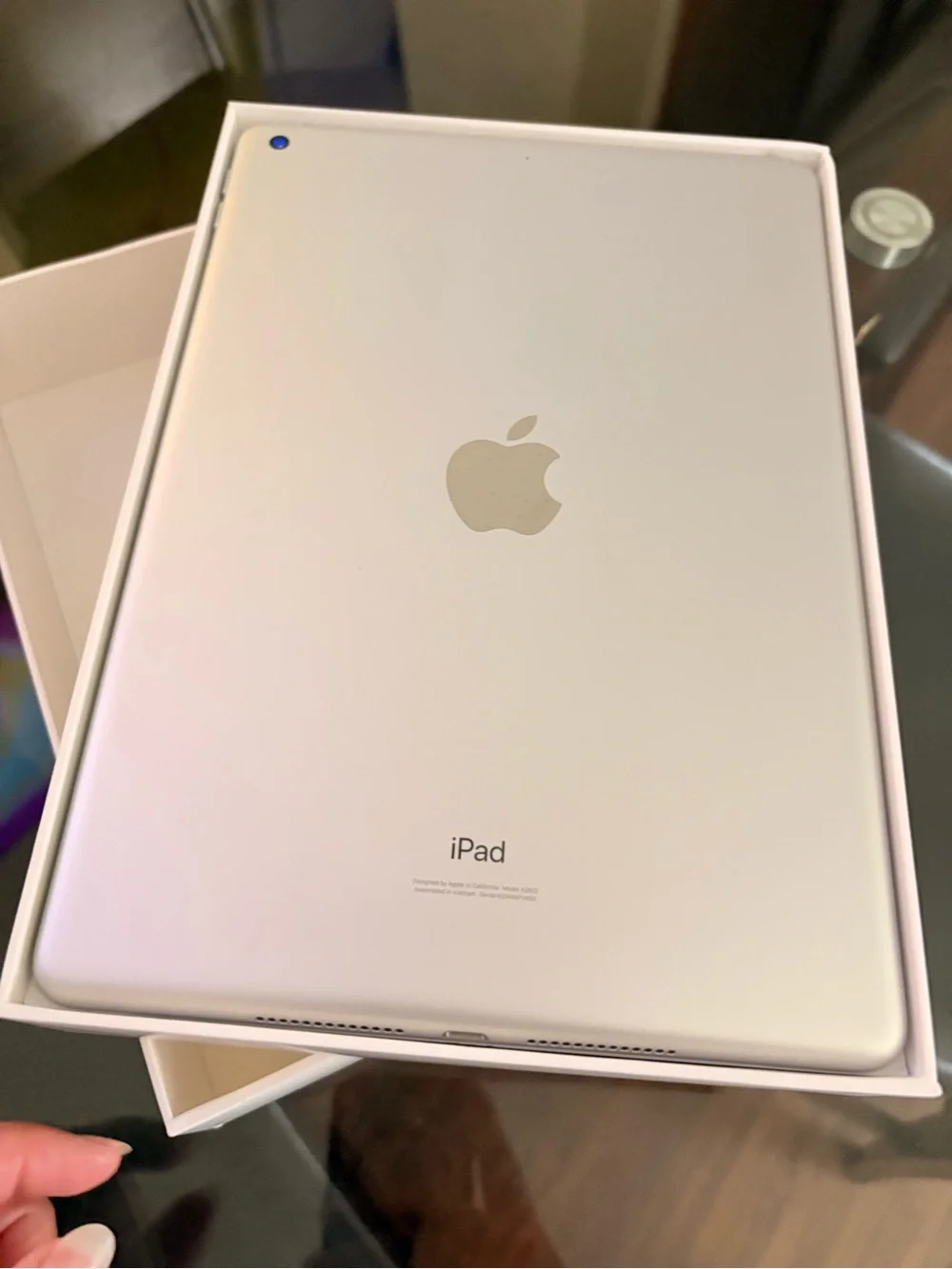 Apple iPad - Silver/White Back